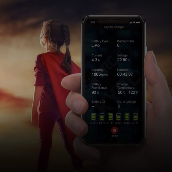 SkyRC B6 Nano Duo Laadija 240VAC/12VDC 15A 100W x 2 - Image 5