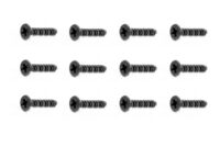 Countersunk Self Tapping screw 2X15mm (12pcs)