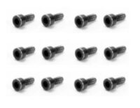 Cap Head Screws 2X6mm (12pcs)