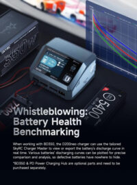 SkyRC D200 Neo AC/DC Multi-Function Smart Charger - Image 8