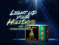 SkyRC B6neo DC Charger Input 10-28volt Christmas Special - Image 2